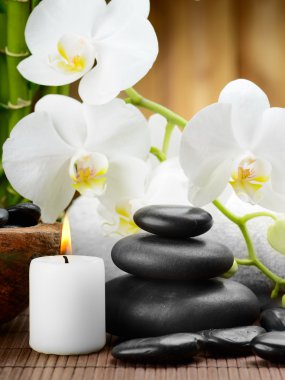 spa konsept