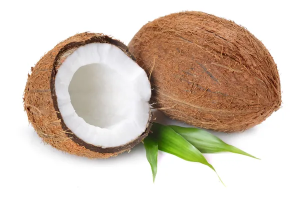 Coconut — Stock Photo, Image