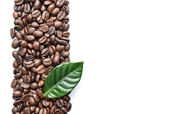 Κόκκοι του καφέ και τα φύλλα — Φωτογραφία Αρχείου