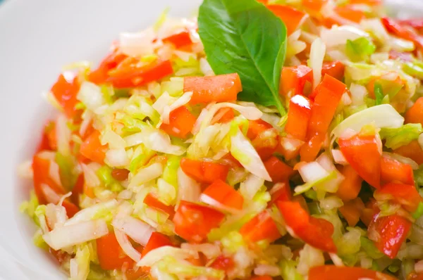 Fresh vegetable salad — Stock Photo, Image