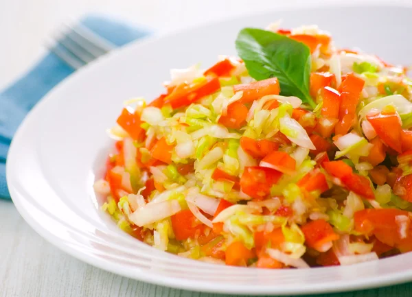 Frischer Gemüsesalat — Stockfoto