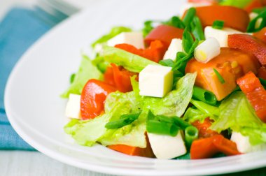 Peynirli taze sebze salatası.