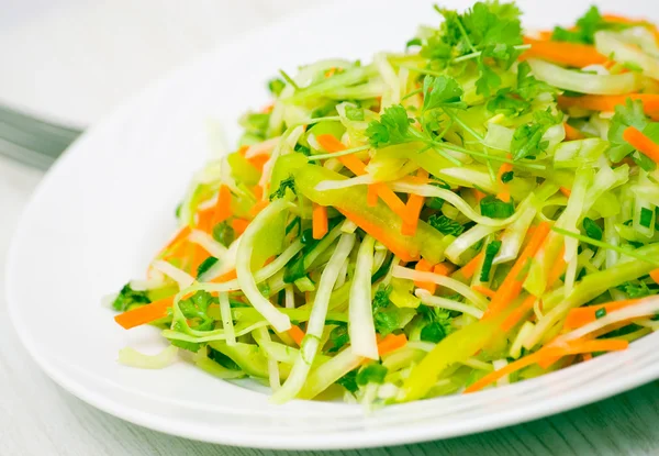 Ensalada de verduras frescas con col y zanahoria — Foto de Stock