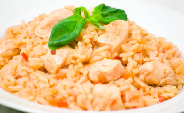 Petto di pollo con riso — Foto Stock