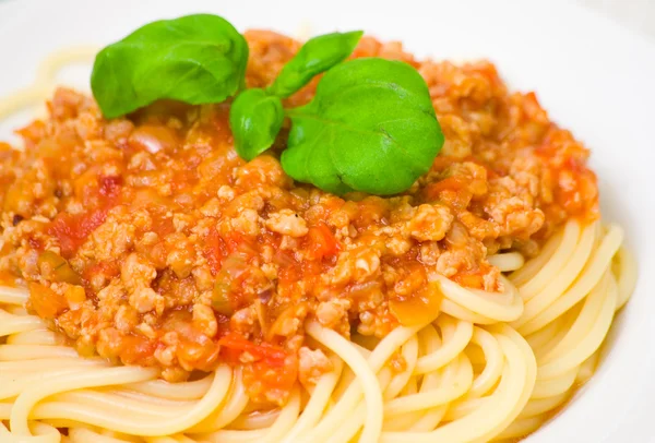 Spaghetti alla bolognese su piatto bianco — Foto Stock