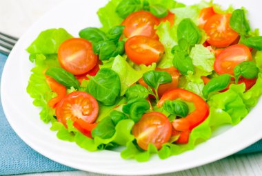 Tabakta taze sebze salatası