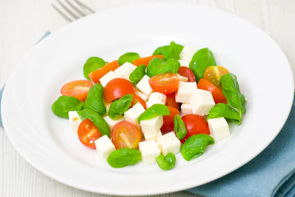 Sallad med tomat, ost och basilika — Stockfoto