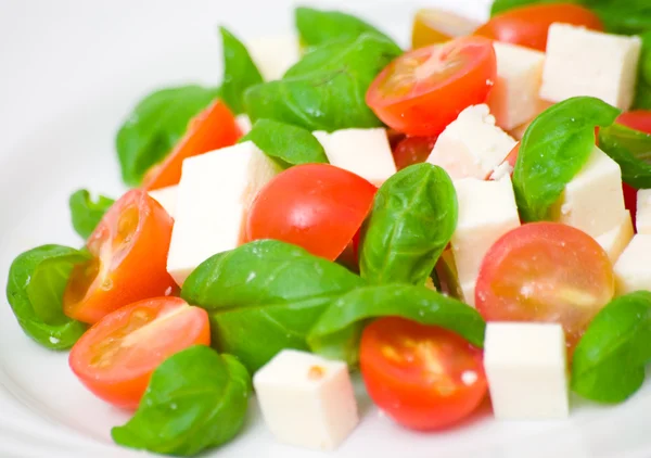 Salade met tomaat, kaas en basilicum — Stockfoto