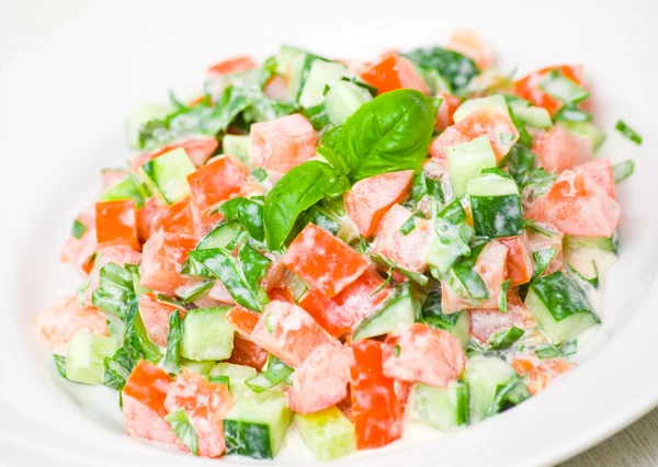 Frischer Gemüsesalat — Stockfoto