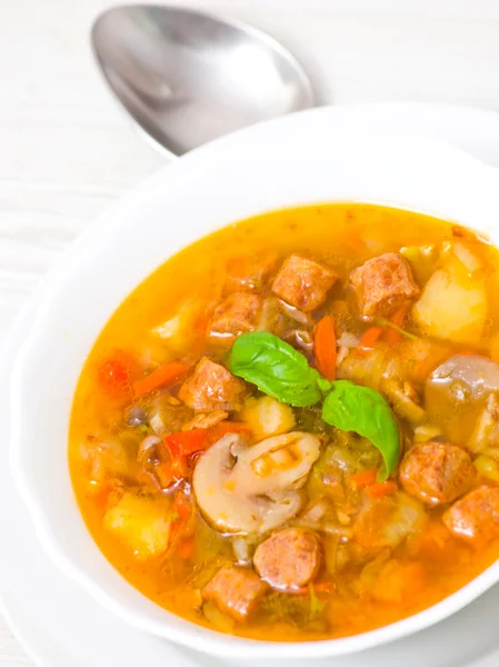 Zupa, mięso, grzyby i warzywa — Zdjęcie stockowe