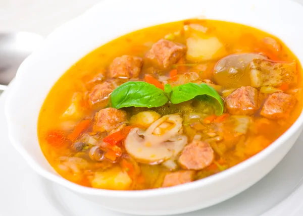 Суп с мясом, грибами и овощами — стоковое фото