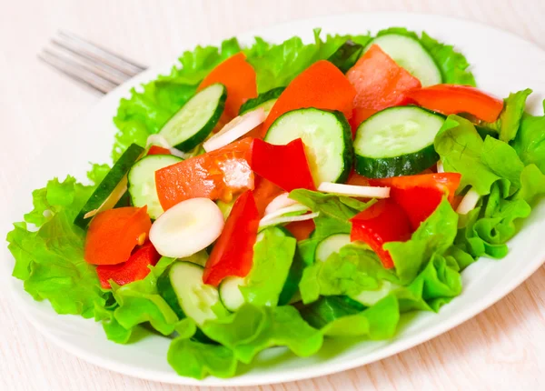 Ensalada de verduras frescas en el plato —  Fotos de Stock