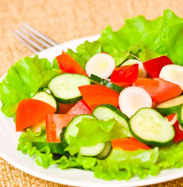 Salade de légumes frais sur assiette — Photo