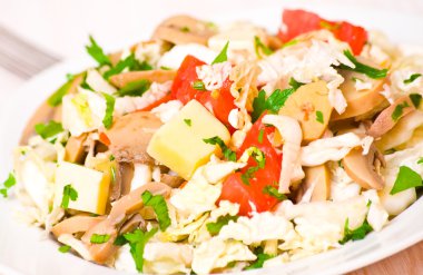 tavuk, peynir, sebze ve mantar salatası