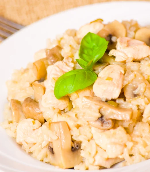 Riz au poulet et champignons — Photo