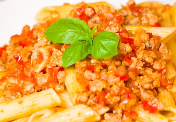 Těstoviny penne bolognese — Stock fotografie