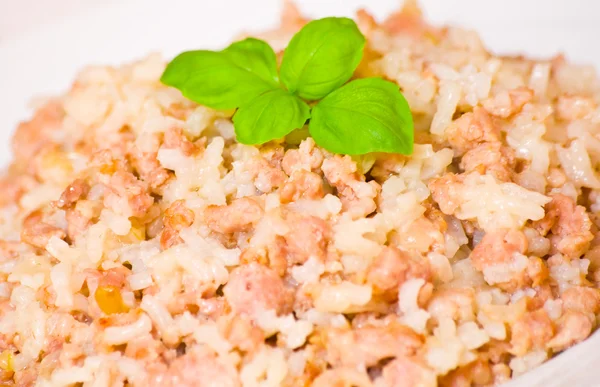 Carne picada com arroz — Fotografia de Stock