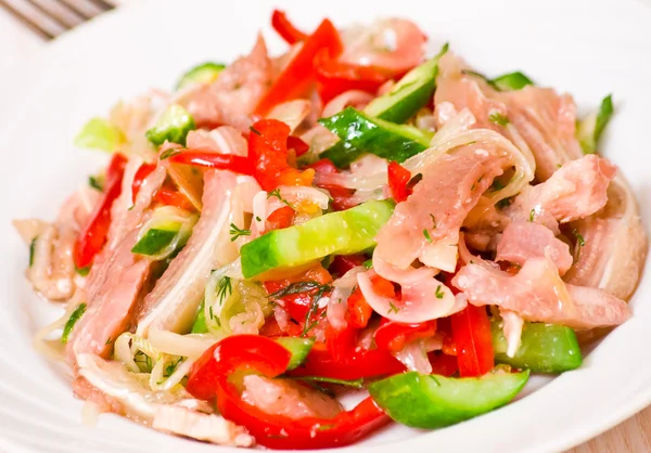 Salat mit Fleisch und Gemüse — Stockfoto