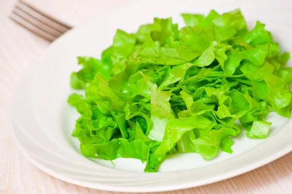 Verse groene sla bladeren op witte schotel — Stockfoto