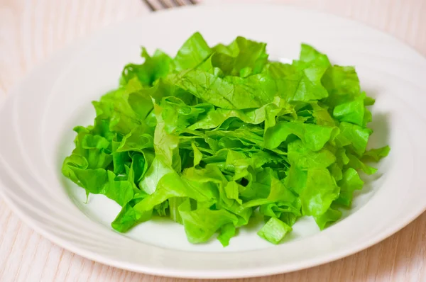 Frische grüne Salatblätter auf weißem Teller — Stockfoto