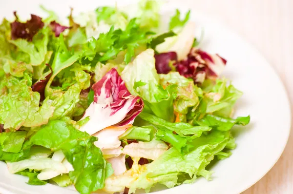 Feuilles de salade fraîches mélangées — Photo