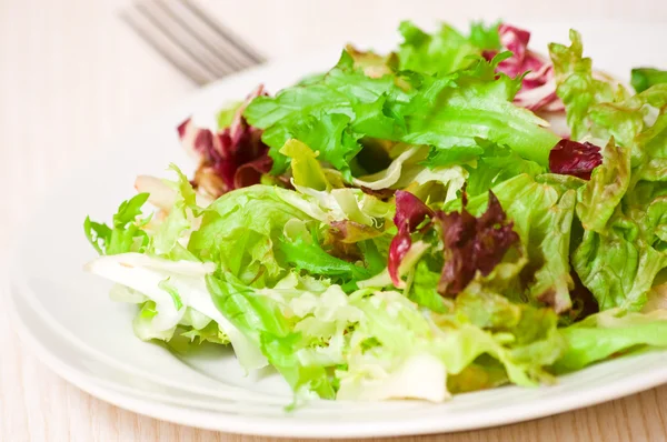 Čerstvý míchaný salát listy — Stock fotografie