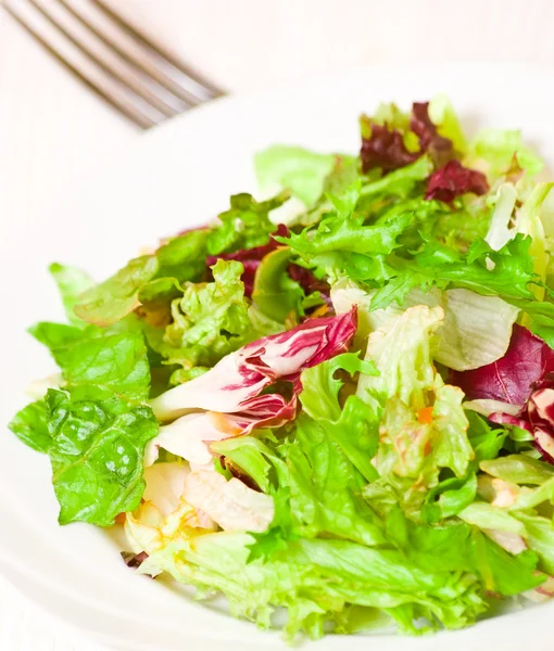 Feuilles de salade fraîches mélangées — Photo