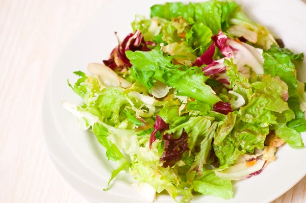 Hojas frescas de ensalada mixta — Foto de Stock