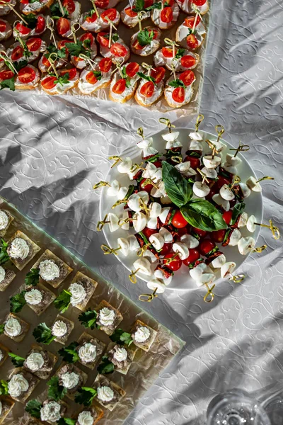 Comida Tampón Catering Diferentes Canapés Aperitivo Mesa — Foto de Stock