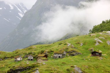 Yeşil çatılar ile dağlarda geleneksel Norveç evleri