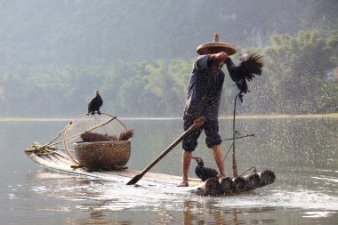 Çinli adam olta karabatak kuşlar, yangshuo, guangxi reg