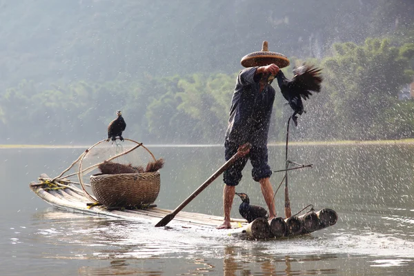 Chinese man fishing with cormorants birds, Yangshuo, Guangxi reg — Stock Photo, Image
