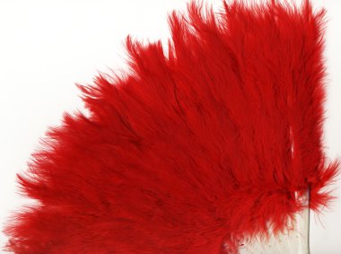 Kırmızı kürk fan