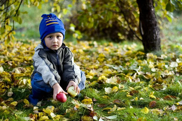 Jongen met appels — Stockfoto