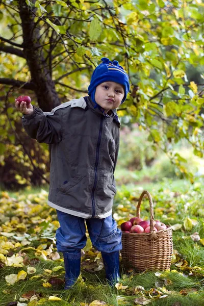 苹果的男孩 — 图库照片