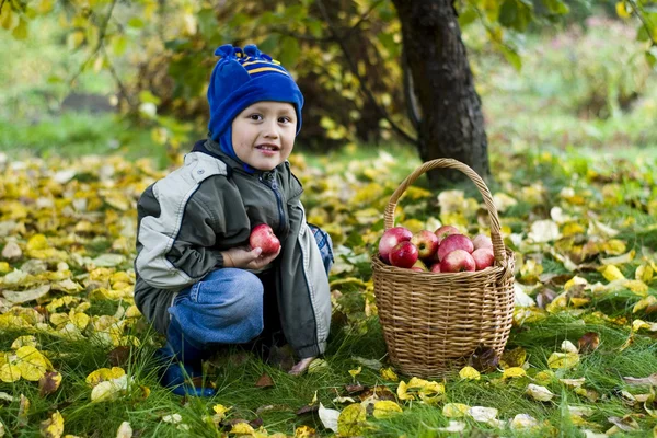 Jongen met appels — Stockfoto