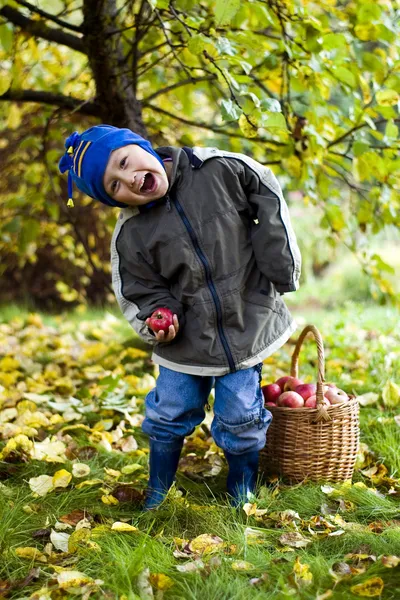 Menino com maçãs — Fotografia de Stock