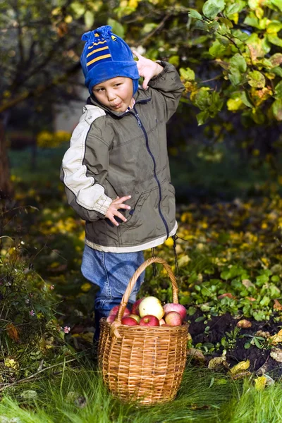 Niño con manzanas — Foto de Stock