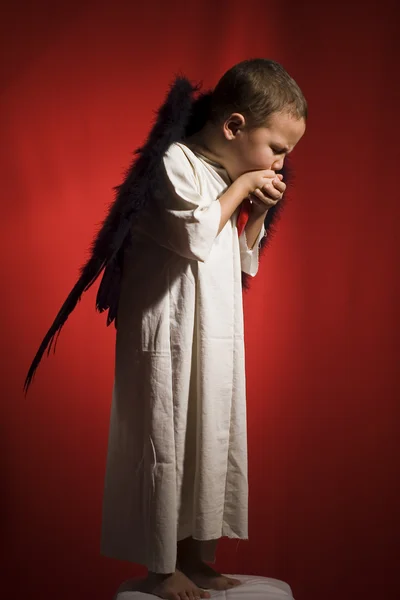 Little boy angel — Stock Photo, Image