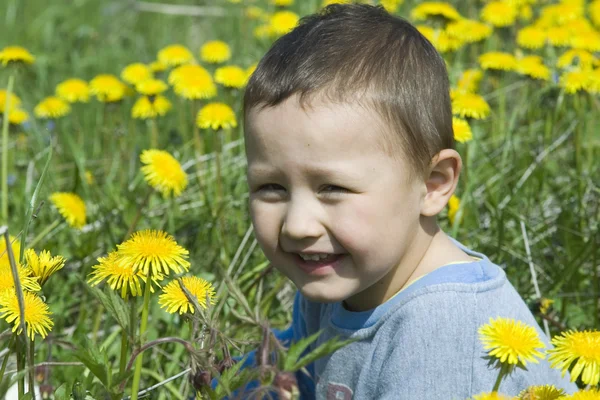 Beautiful funny Boy and dandelion — Stock Photo, Image