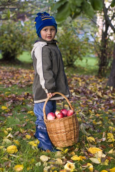 Menino com maçãs — Fotografia de Stock