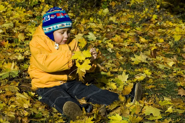 Menino relaxante no outono — Fotografia de Stock