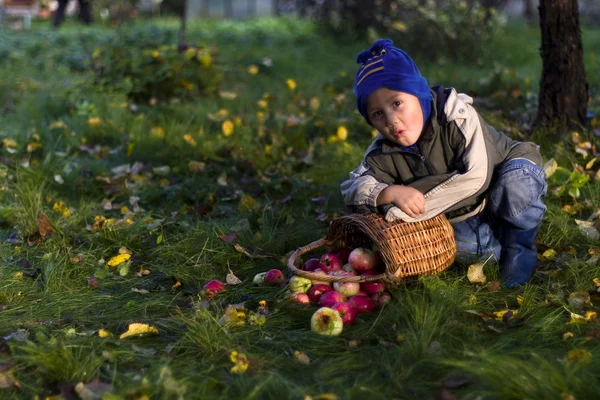 Niño con manzanas —  Fotos de Stock