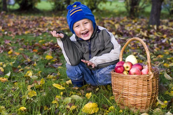 Boy with apples — Stock Photo, Image