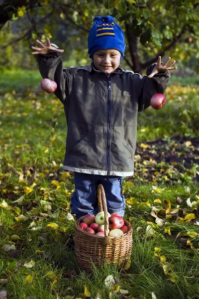 Niño con manzanas — Foto de Stock