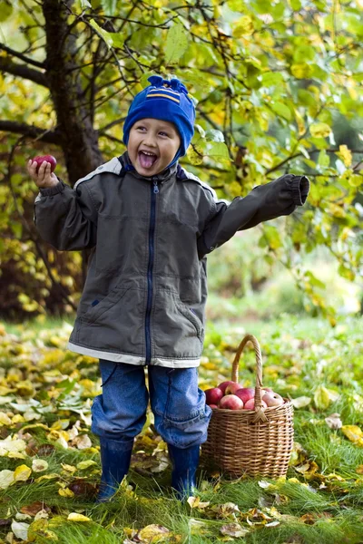 Niño con manzanas —  Fotos de Stock