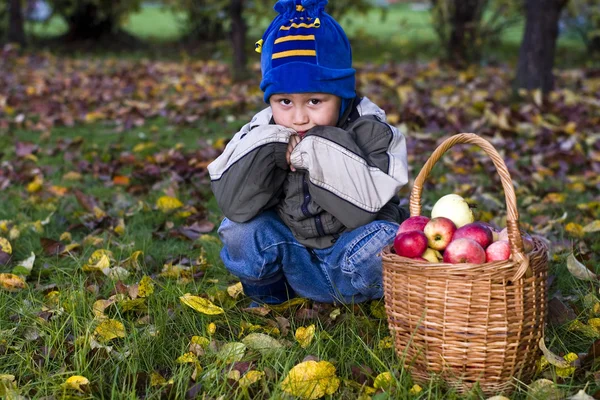 Junge mit Äpfeln — Stockfoto