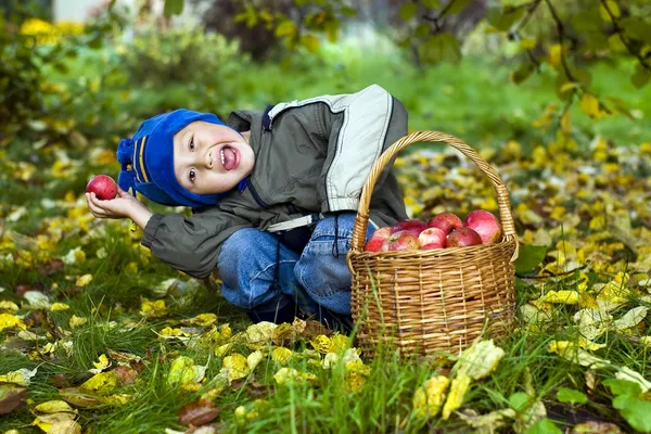 Menino com maçãs — Fotografia de Stock