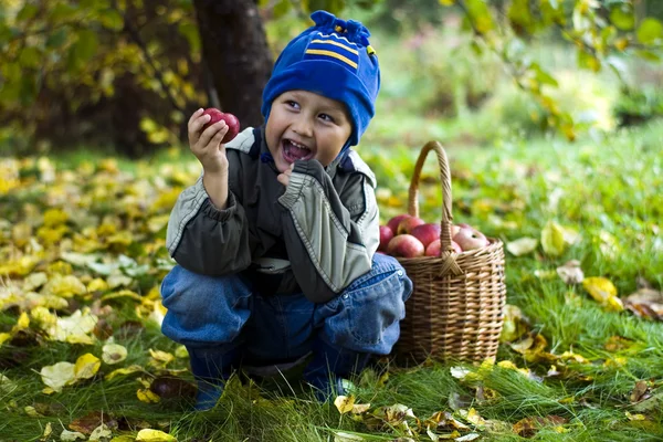 Хлопчик з яблуками — стокове фото