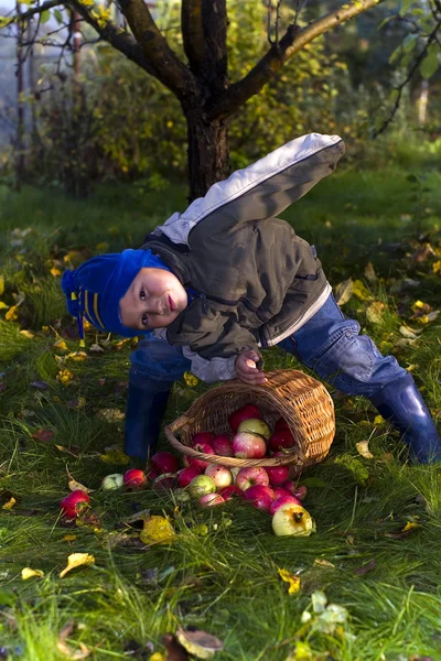 Menino com maçãs — Fotografia de Stock